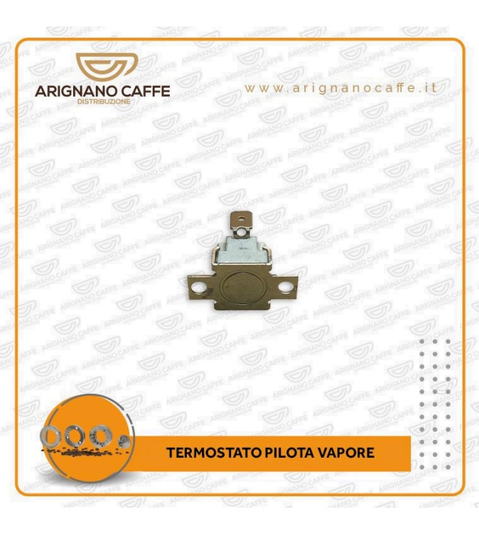 TERMOSTATO 155° GRADI PILOTA VAPORE TERMOSTATO 155° GRADI PILOTA VAPORE